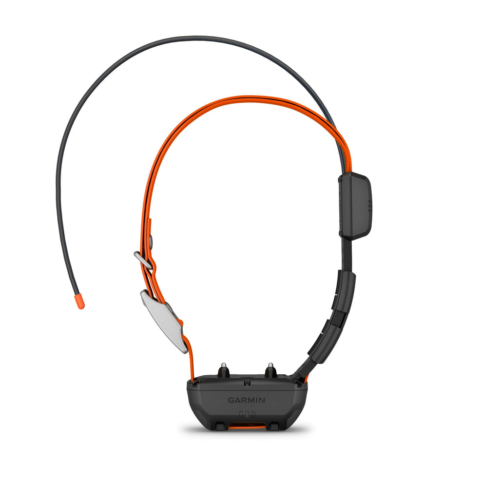 Garmin Alpha 300 + TT25 — Kit de rastreo y adiestramiento canino — MexOutdoor