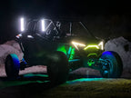 Colmillos RGB RZR Pro XP
