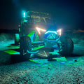 Lucky Whips Colmillos RGB para RZR Pro XP, Turbo R, Pro R